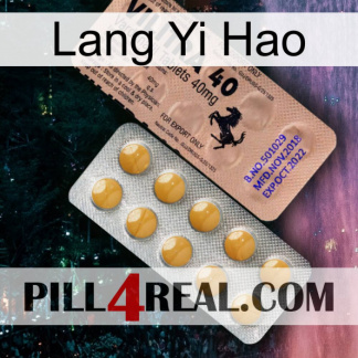 Lang Yi Hao 41